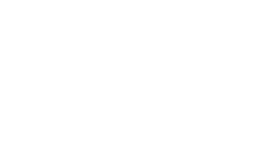 라이나생명